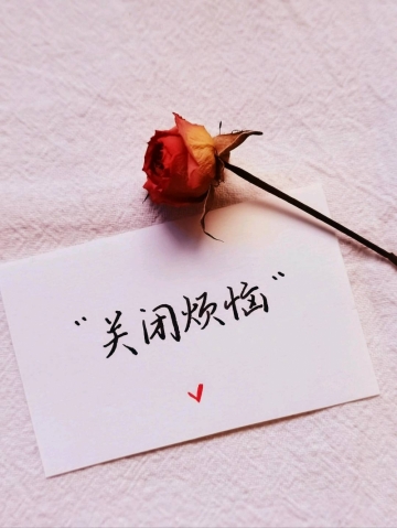 小孩的世界你不懂的照片
