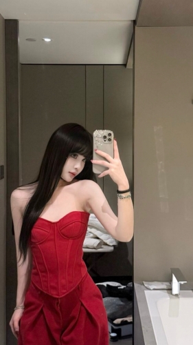 小海豚的照片