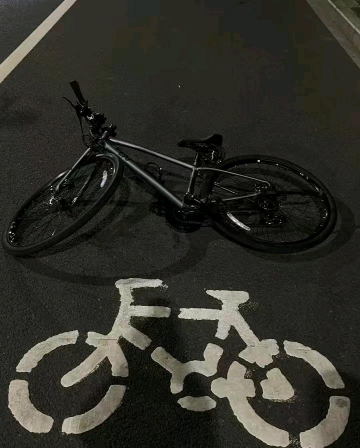 小可爱是我的照片