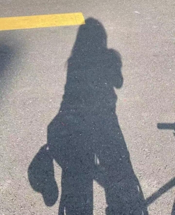 小可爱是我的照片