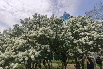 飞翔安静的照片