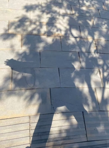请叫我悠悠仙女的照片