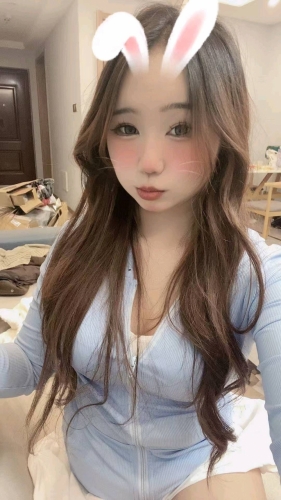 猫猫不爱睡的照片