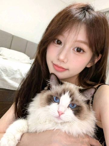 文一只七七的照片