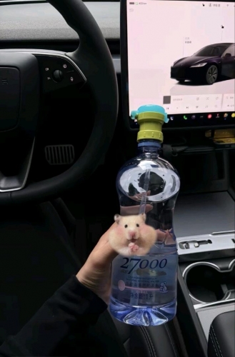 韩田的照片