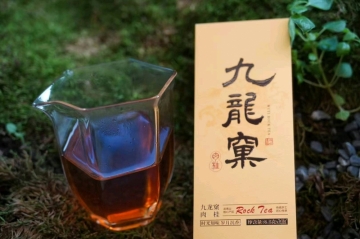 吉米多维奇的照片