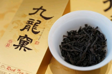 吉米多维奇的照片