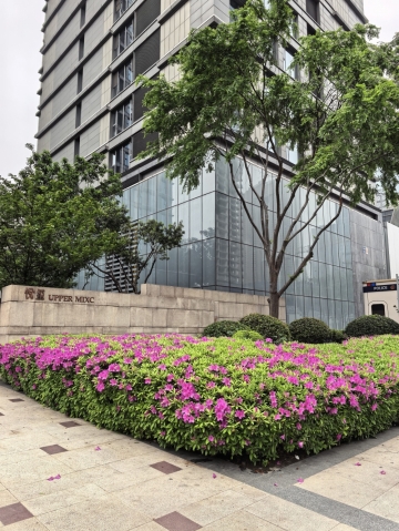 海归钢琴老师的照片