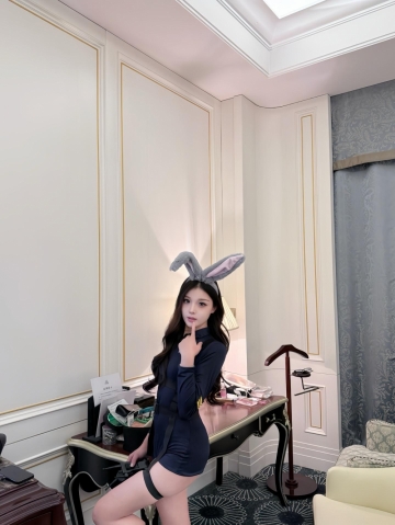小海豚的照片