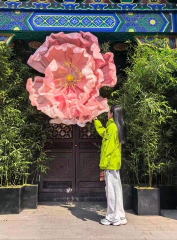 紫焱的照片