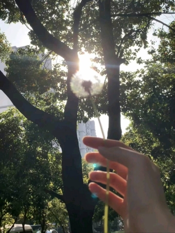 小孩的世界你不懂的照片