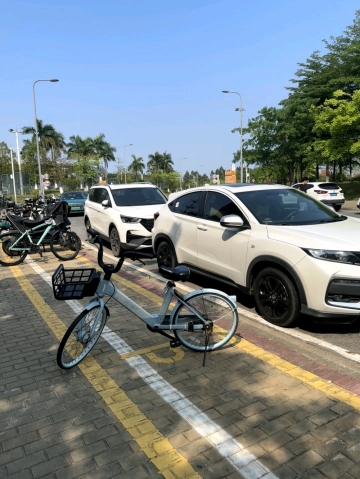 偶尔也发呆的照片