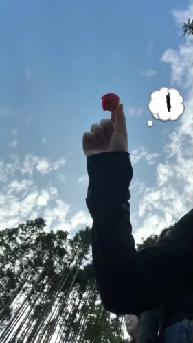 甜甜雪梨糕的照片