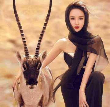 潘大美女的照片