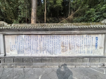 梦惊泪难寻的照片