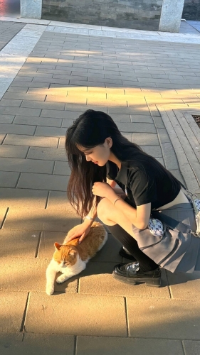 安觅的照片