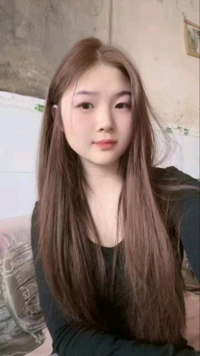 羞涩的木槿的照片