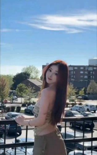 小百合的照片