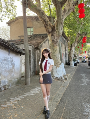 敷衍s231的照片