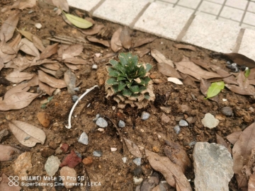 吉米多维奇的照片