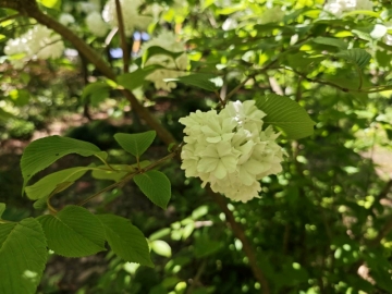烟雨和的照片