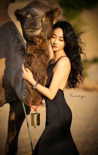 小海椒的照片