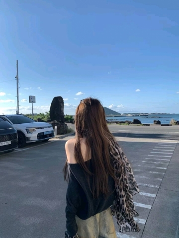 仙子的照片