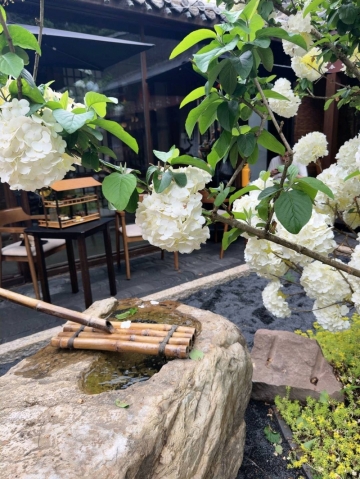樱桃酱的照片
