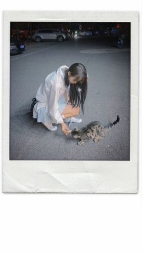 美少女战士123的照片