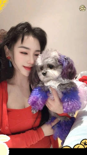 财神爷独宠女的照片