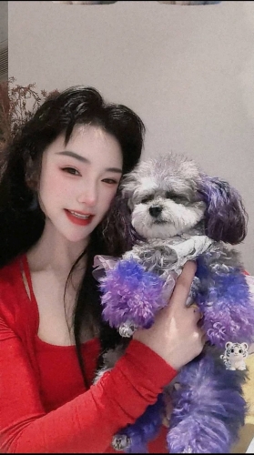 财神爷独宠女的照片