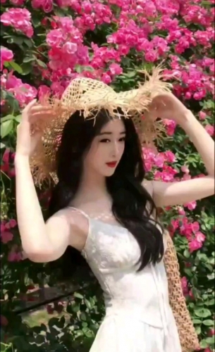 小百合的照片
