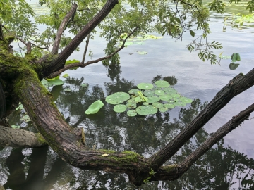 北京琨爷的照片
