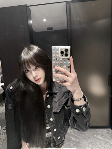 小海豚的照片
