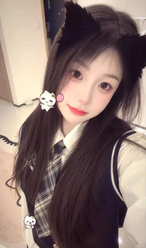 梯田的照片
