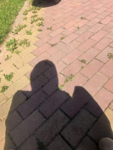 哆啦A梦的小口袋的照片
