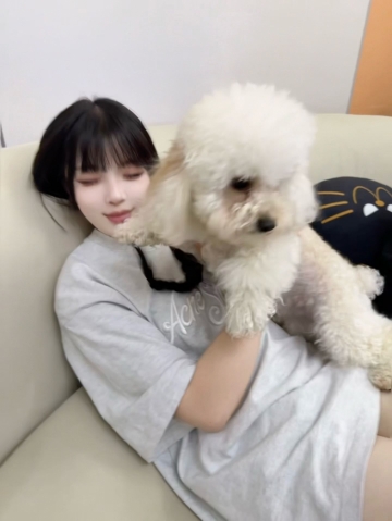 小海豚的照片