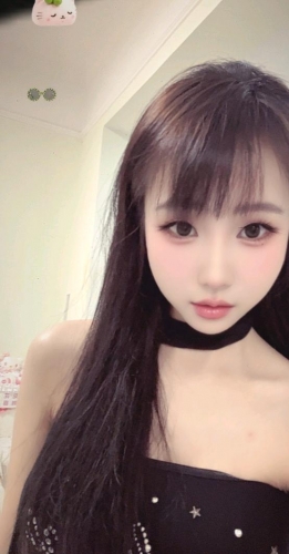 盛开的蔷薇的照片