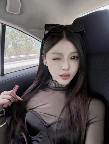 小海豚的照片