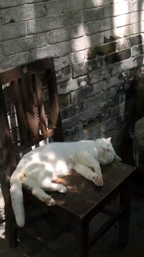 愿時光不被辜负的照片