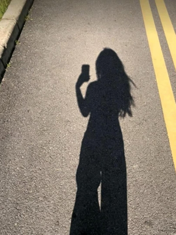 橘子树上的葡萄的照片