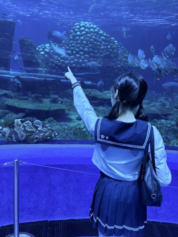 脑袋困掉的照片