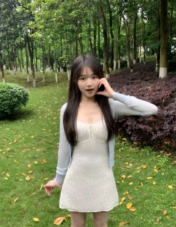 梯田的照片