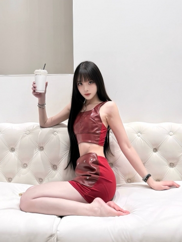 小海豚的照片