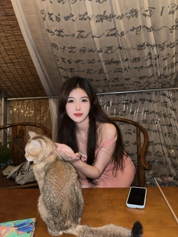 青椒炒肉的照片