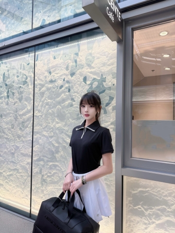 小海豚的照片