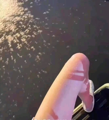 欧莱雅的照片