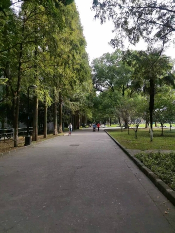 甜甜甜圈圈圈的照片