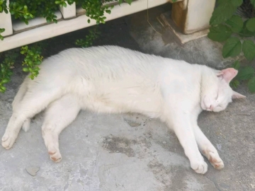 小孩的世界你不懂的照片