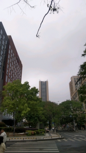 风扬起思念的照片